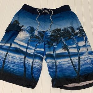 Reitveld Hawaiin shorts men size 30 Hula